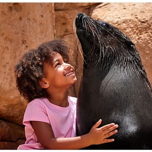 Atlas Village – Sea Lion Experiences at Atlantis The Palm, Dubai, United Arab Emirates Atlas Village - Sea Lion Experiences at Atlantis The Palm