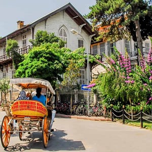 Daily Princes’ Islands Tour: Full-Day Trip in Istanbul – Sightseeing and Tours Daily Princes' Islands Tour: Full-Day Trip in Istanbul Sightseeing and Tours