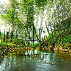 Daily Sapanca and Masukiye Tour: Full-Day Trip From Istanbul – Sightseeing and Tours Daily Sapanca and Masukiye Tour: Full-Day Trip From Istanbul Sightseeing and Tours