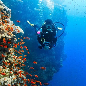 Diving Experience in Khasab – Outdoor Attractions Diving Experience in Khasab Outdoor Attractions