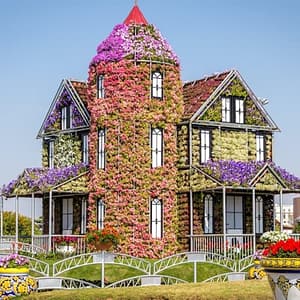 Dubai Miracle Garden at Dubai Miracle Garden, Dubai, United Arab Emirates Dubai Miracle Garden at Dubai Miracle Garden