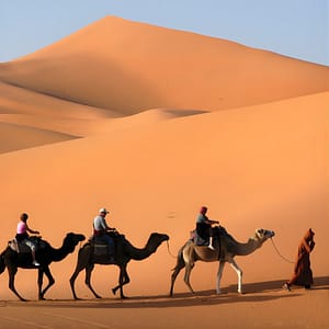 Camel Caravan at Kasbah Le Mirage & Spa Sightseeing and Tours
