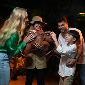 Dinosaurs: The Immersive Odyssey at Dubai Festival City Mall, Dubai, United Arab Emirates Dinosaurs: The Immersive Odyssey at Dubai Festival City Mall