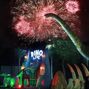 Dubai Frame + Dubai Garden Glow - Combo Must-see attractions