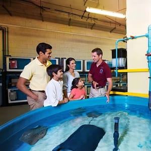 Lost World General Admission + Interactive Trident + Behind the scenes tour – Top-Rated Attractions Lost World General Admission + Interactive Trident + Behind the scenes tour Top-Rated Attractions