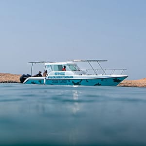 Daymaniyat Island Half Day Sharing Trip Boat Tours and Cruises