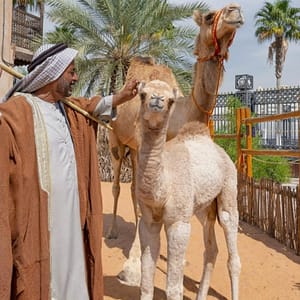 Emirati Hospitality Experience (Lunch) – Sightseeing and Tours Emirati Hospitality Experience (Lunch) Sightseeing and Tours