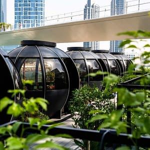 Exclusive 2-Course Festive Brunch – The Pods – Top-Rated Attractions Exclusive 2-Course Festive Brunch – The Pods Top-Rated Attractions