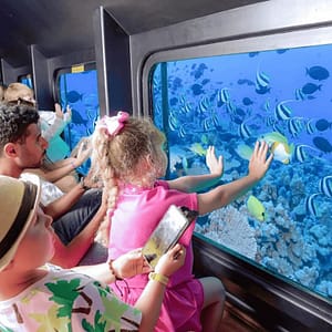 From El Gouna: Royal Seascope Submarine with Snorkel Stop Boat Tours and Cruises