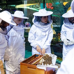 Inside the Hive Experience at Expo City Dubai Recently Added Experiences
