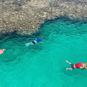 Luxury Ras Mohammed & White Island Cruise in Sharm El-Sheikh Boat Tours and Cruises