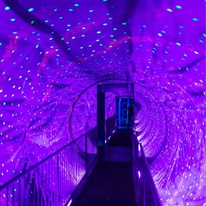 Ripley's Believe It or Not! Amsterdam: Entry Ticket Recently Added Experiences