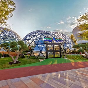 The Butterfly Garden Experiences