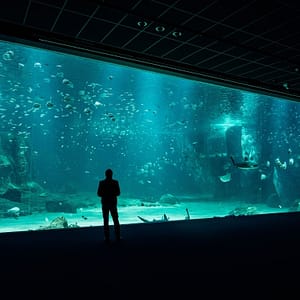 Barcelona Aquarium: Entry Ticket – Outdoor Attractions Barcelona Aquarium: Entry Ticket Outdoor Attractions