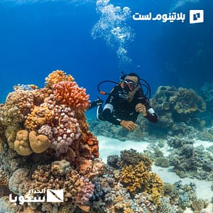 Try Scuba Diving in Jeddah Water Sports