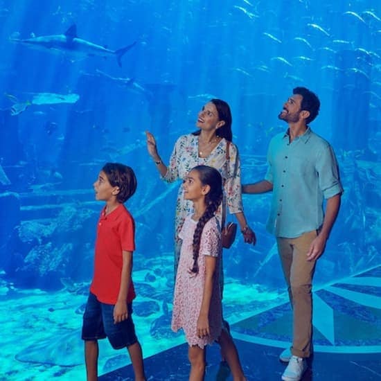 Dubai Atlantis: Aquaventure Waterpark + Shark Safari or Snorkel Experience at Aquaventure Waterpark, Dubai, United Arab Emirates Dubai Atlantis: Aquaventure Waterpark + Shark Safari or Snorkel Experience at Aquaventure Waterpark, Dubai, United Arab Emirates - Image 2