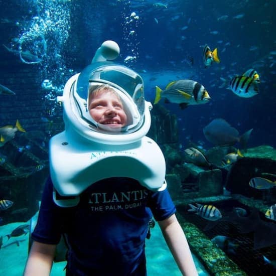 Dubai Atlantis: Aquaventure Waterpark + Shark Safari or Snorkel Experience at Aquaventure Waterpark, Dubai, United Arab Emirates Dubai Atlantis: Aquaventure Waterpark + Shark Safari or Snorkel Experience at Aquaventure Waterpark