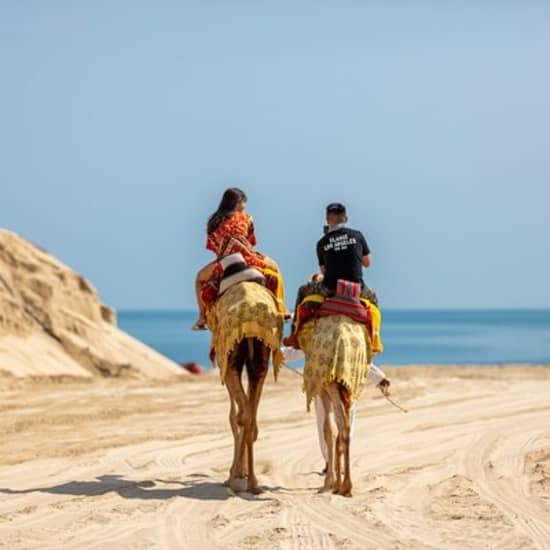 Al Majles Resort Day Pass at Al Majles Resort