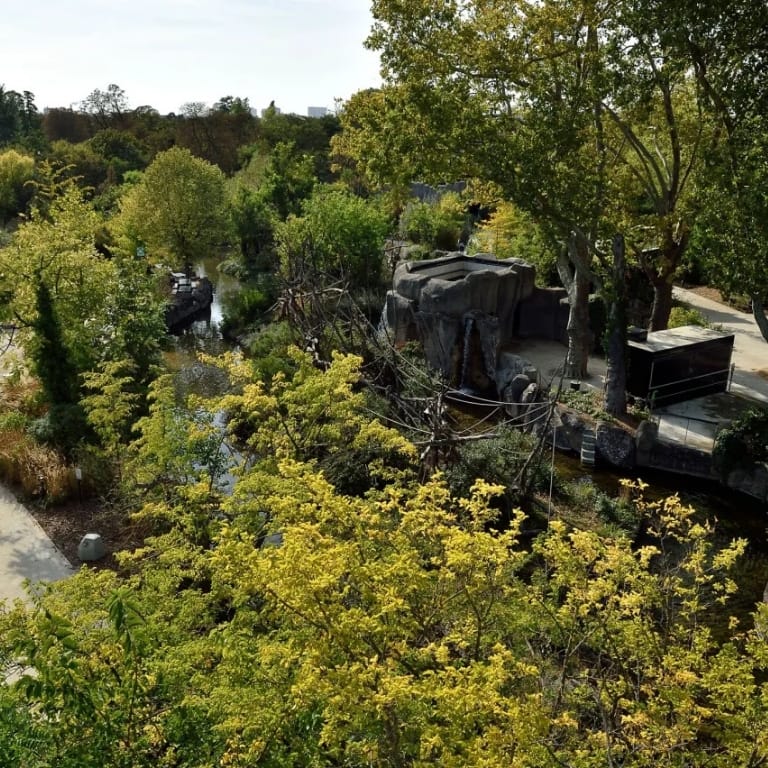 Paris Zoological Park: Entry Ticket – Experiences Paris Zoological Park: Entry Ticket Experiences