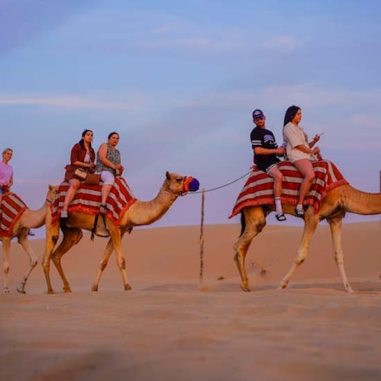 Premium Desert Safari: Camel Ride, Falconry, and BBQ Dinner at Dubai Mall, Dubai, United Arab Emirates