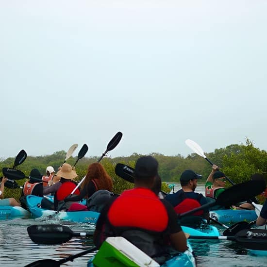 Kayak Through the Mangroves to the Purple Island at AquaSports Qatar - Mangrove Kayaking Center | Eco Camp مخيم جولات الكياك أكواسبورتس, Doha, Qatar